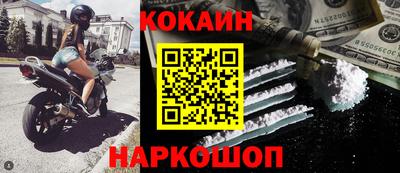 крисы Славгород