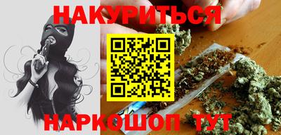 крисы Славгород