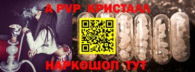 крисы Славгород