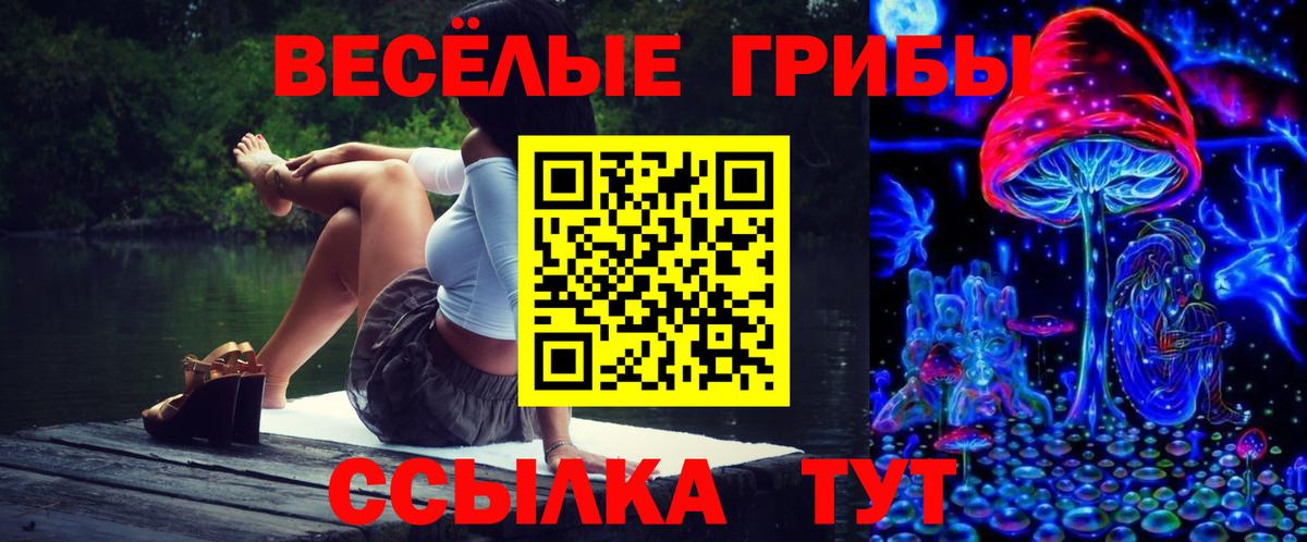 Псилоцибиновые грибы ЛСД  Вход с VPN  Новотроицк  Псилоцибиновые грибы Magic Shrooms 