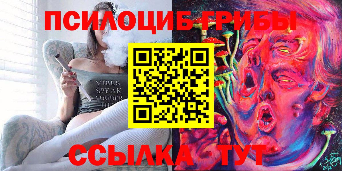 Псилоцибиновые грибы Psilocybe Новотроицк